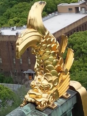 tarogakky0520's profile picture. 競馬アカ！基本中央、たまに高知。色々な出会いときっかけがあってオーヴァーネクサス一口持ってます🐴