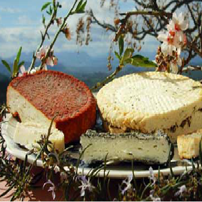 DIYNF's profile picture. To introduce and sustain organic and natural means of cooking, eating, and living and promote overall healthy and rewarding lifestyles.