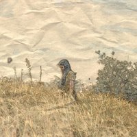 Riska Realita (@riska_bubu) 's Twitter Profile