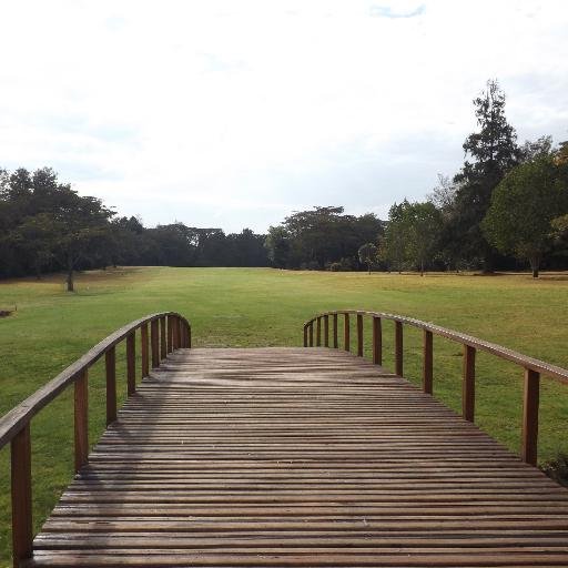 SignorDan's profile picture. what it is like to live in a land where everyone is bound to follow strong established rules. Decency & Decorum is expected, as well as self control.