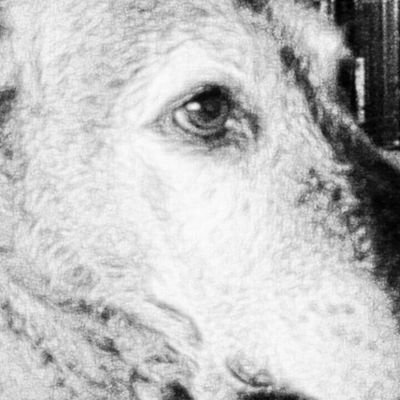 CallasBlack's profile picture. 