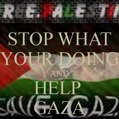 Helpgaza__'s profile picture. 