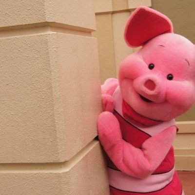 nfsojflp's profile picture. 相互確実！無言フォロー待ってます！！