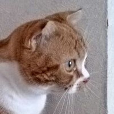 やみや