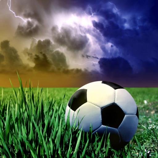 McafeeOlga's profile picture. 