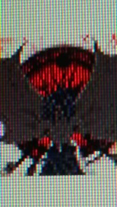 EKicara's profile picture. 