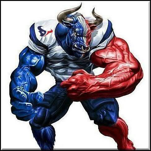 All about HOUSTON TEXANS!