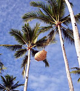 minniem's profile picture. She/her. Here’s an old favorite: Some people walk in the rain, others just get wet. -Roger Miller