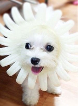 이번주 금요일~