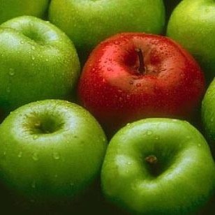Si adoras a la manzana y no sabes comértela, acá podrás aprender a hacerlo cada día. MacBooks iPhones y iPads, OsX e iOs, son las manzanas nuestras de cada día.