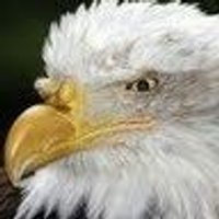 John Penov (@penovjohn) 's Twitter Profile