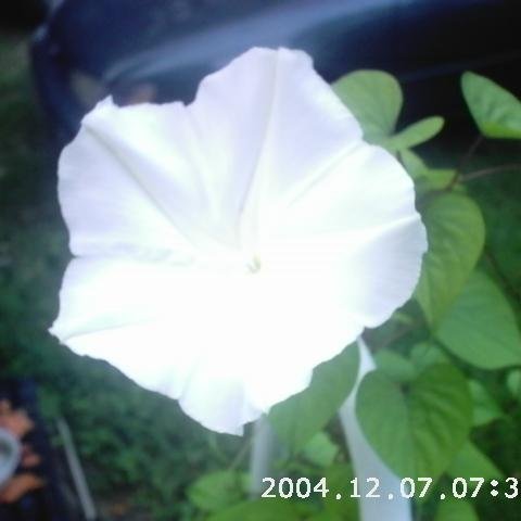 debby71953's profile picture. 