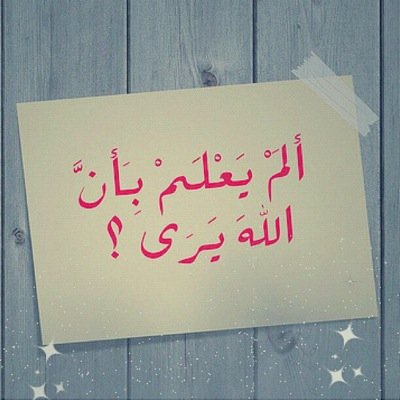 teetoo_otot123's profile picture. 