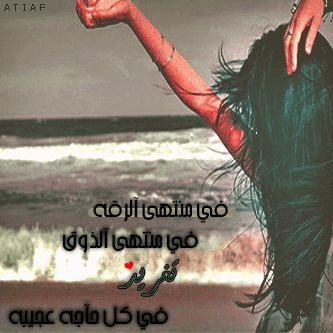 qwer00005097's profile picture. tarug