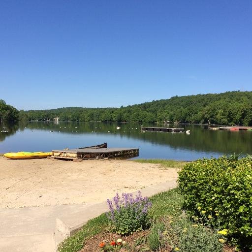 debsprung's profile picture. 