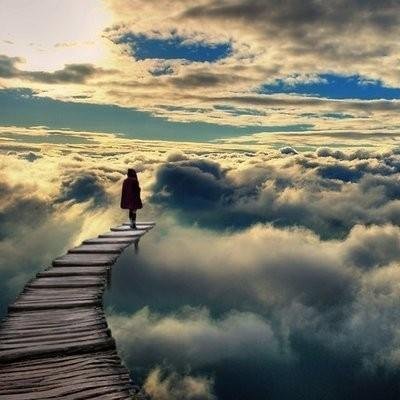 FenixStarsSeek's profile picture. 