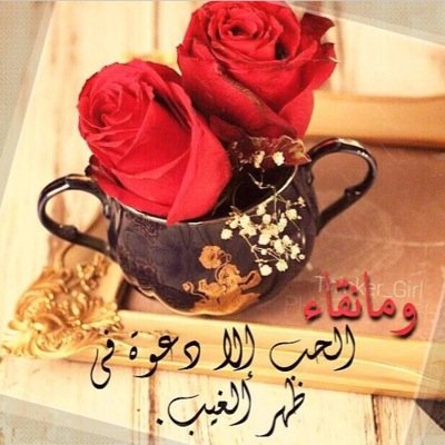 ربّ اجمعني بأمي وأبي واختي ومن احب بنبيك في الفردوس الاعلى