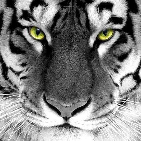 semoga twitter ini bermanfaat....man jadda wa jadda... followback??? just mention