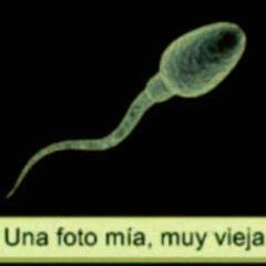 nelson73m's profile picture. 