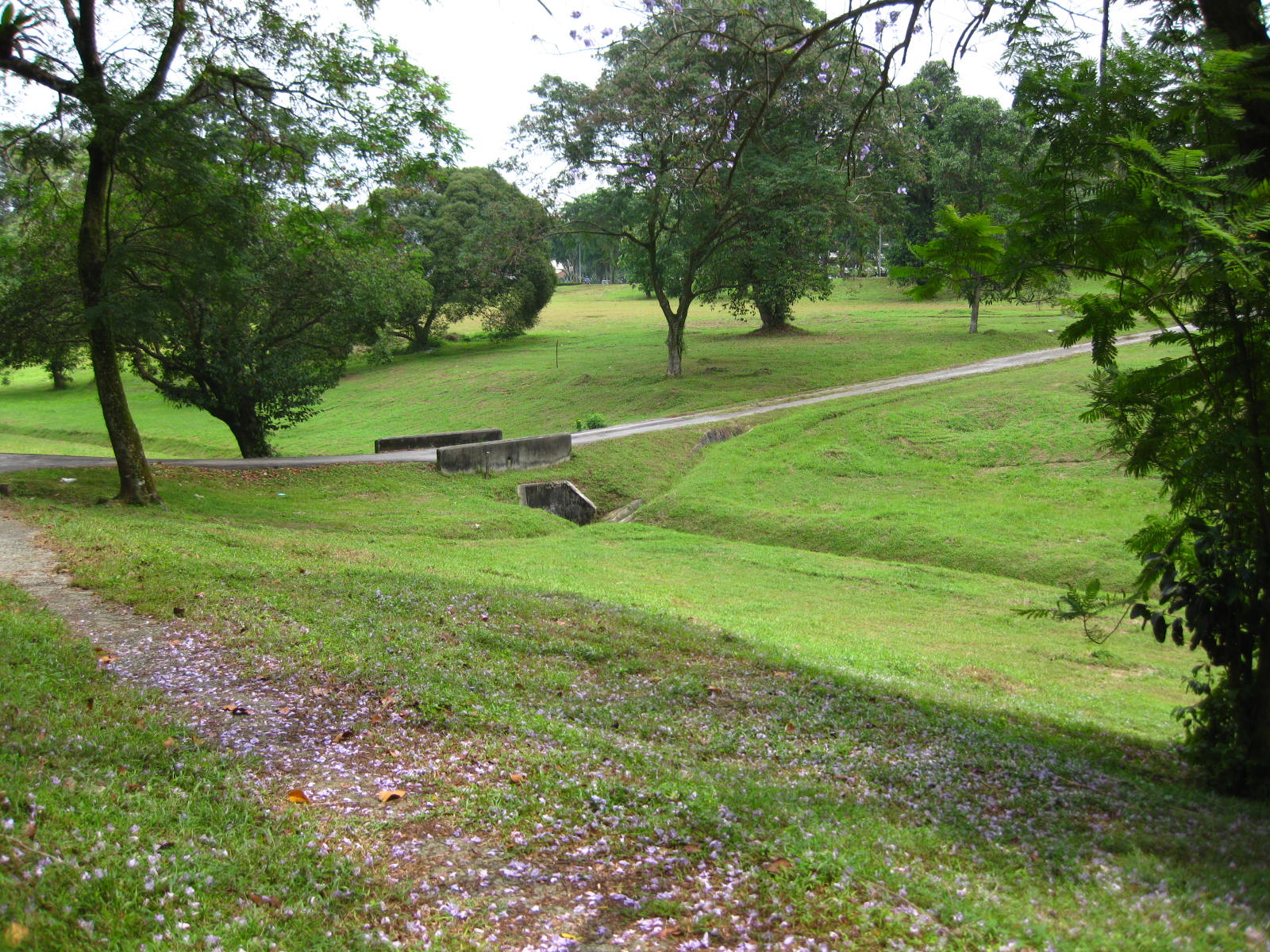 bidadaridisc's profile picture. Spreading information about the nascent disc golf scene in Singapore, trying to bring the sport to Southeast Asia.