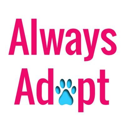 Non-profit organization hosting super-sized pet adoption events in Rhode Island to place homeless animals with loving families. Next event 11.7 #alwaysadoptri