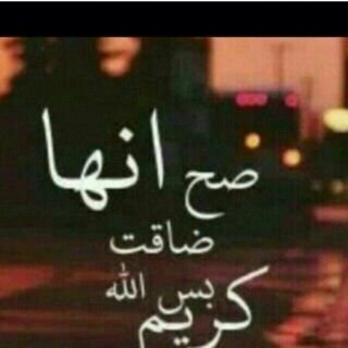 تغريداتي ب المفضلة