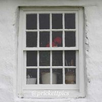 James Prickett (@prickettpics) 's Twitter Profile Photo James Prickett (@prickettpics) 's Twitter Profile Photo