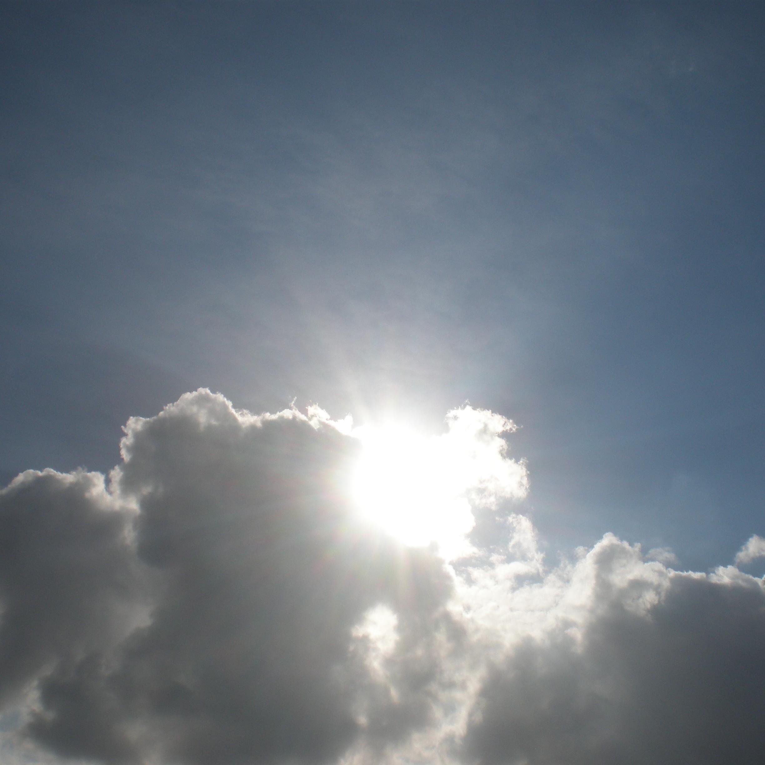 nitcencox's profile picture. Слава Україні!