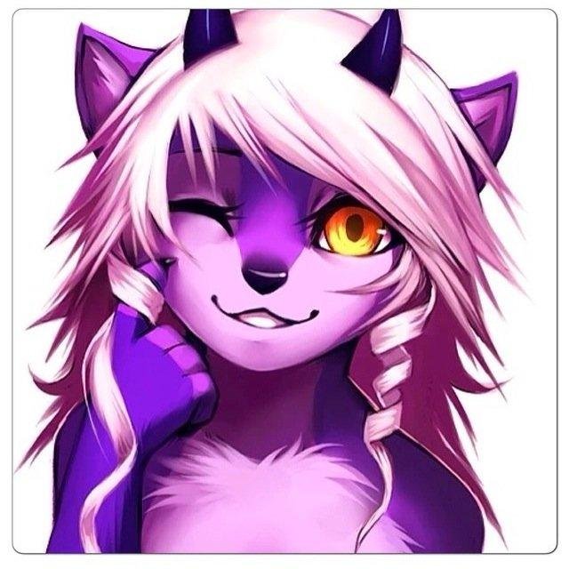 #lookslikeprofilepic #furryhybrid #female #single #geek #cathybrid I've got no one and nothing, make fun of my little horns you're as good as dead~!