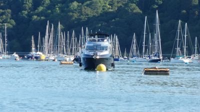 EyesOnTheDart's profile picture. Eyes and Ears on the Dart, working on the river I get to see alot! Tweets and views are my own and all that jazz.