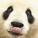 Mathew Allen - @kickasspanda69 - Twitter