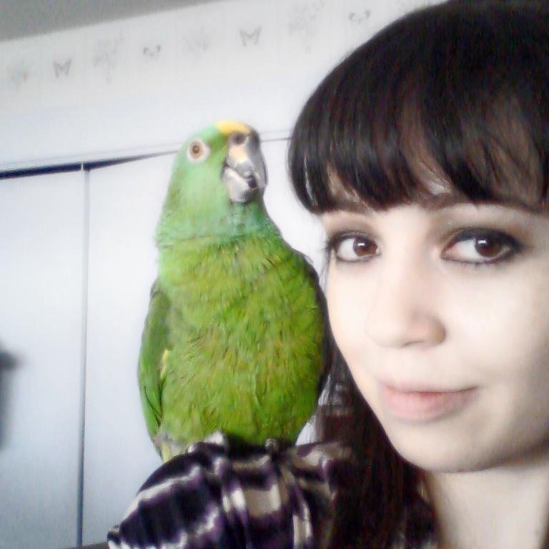 AshleyB_ASU's profile picture. Civil Engineering Undergraduate at ASU!
This is my school account.
My virtually unused personal account: @LynxMaiden