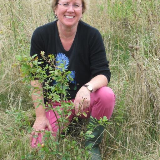 Waables's profile picture. General Manager, Keyboard Charitable Trust (https://t.co/bXPoQI63vl), Literary Executor, Robert Holdstock (https://t.co/GAjDWYVc93), Concert management.