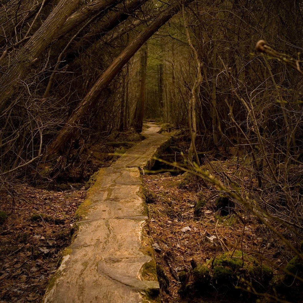 tbthompsonphoto's profile picture. I'm an event, family, and nature photographer, and founder of the @noevilproject a nonprofit which uses photography to challenge stereotypes.