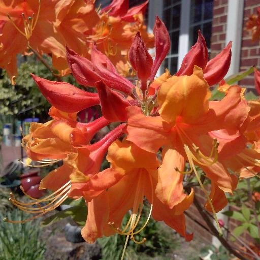 josievans's profile picture. 