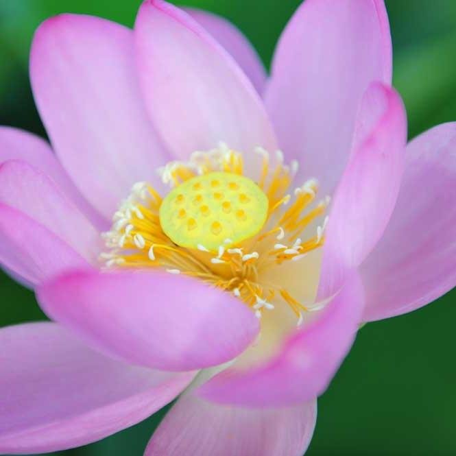 愛用のカメラで撮影した写真などをあげています。NikonD810、sony α7lll、NikonD700