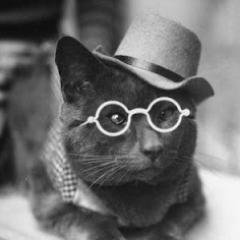 historian, writer, parent, friend to all cats