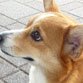 暗号通貨の機能により、よりよい未来が来ることを期待しています。#crypte #followme #sougofollow #airdrop