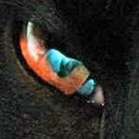 Sigurborg Johannsd (@sjoart) 's Twitter Profile