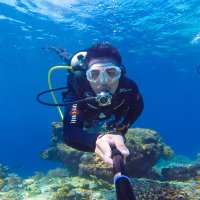 Kevin Reynaldo S (@silangenkevin) 's Twitter Profile