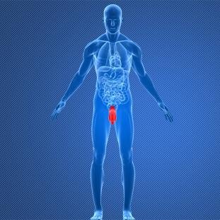 PriapusShot's profile picture. Strengthen, straighten, increase sensation, and increase size of the penis with Platelet Rich Plasma (PRP). Non-surgical painless procedure.