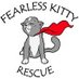 FearlessKittyRescue (@fearlesskitty12) Twitter profile photo