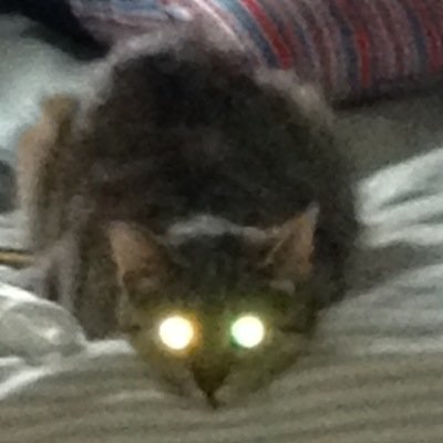 PToxen's profile picture. 