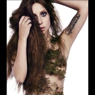 This is a free follow, follow @sillygigalos. DO NOT FOLLOW THIS ACCOUNT.