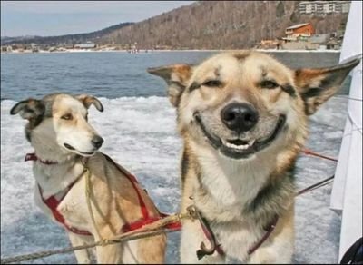 bigcolt77's profile picture. 