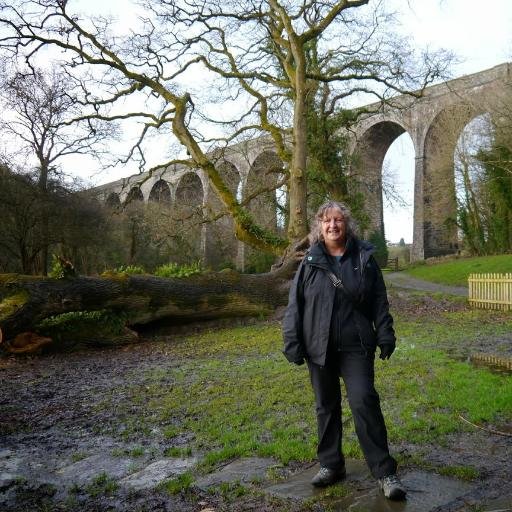 Retired University Library person. Love our countryside and creatures and plants within it. Enjoy walks with coffee and cake!!