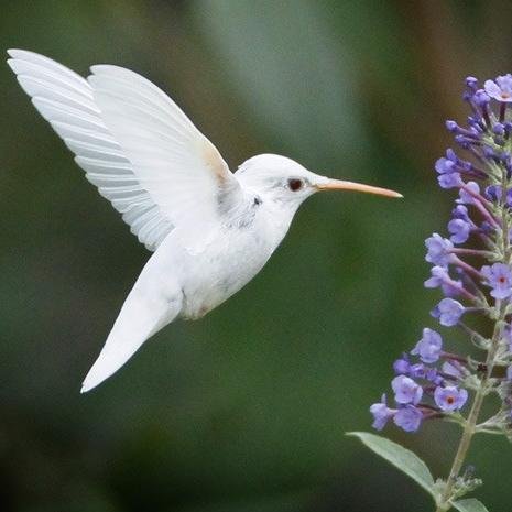 PalomaBeta's profile picture. 