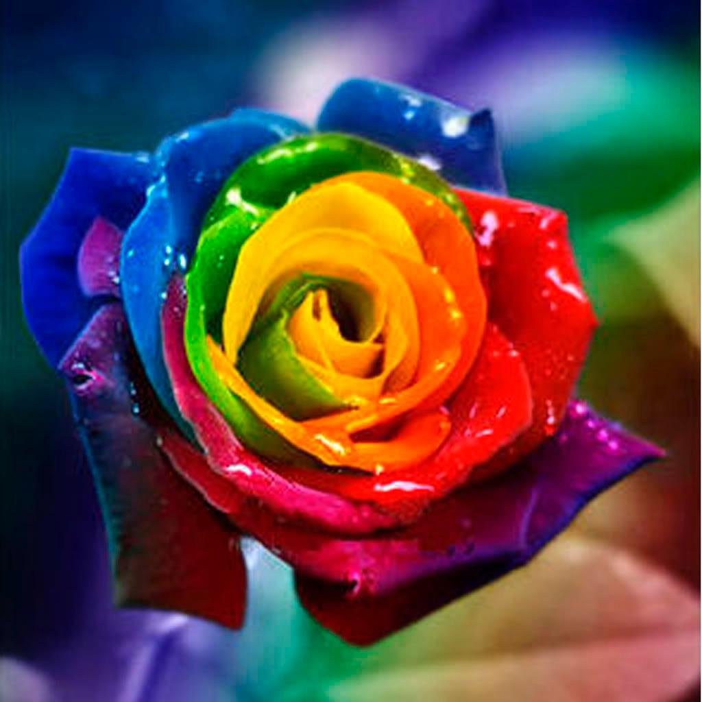Significado de los colores es una web donde podrás aprender todo sobre el emocionante mundo del color :)