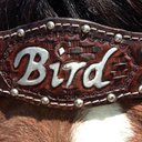 Dustin Bird - @DustinBird_ - Twitter