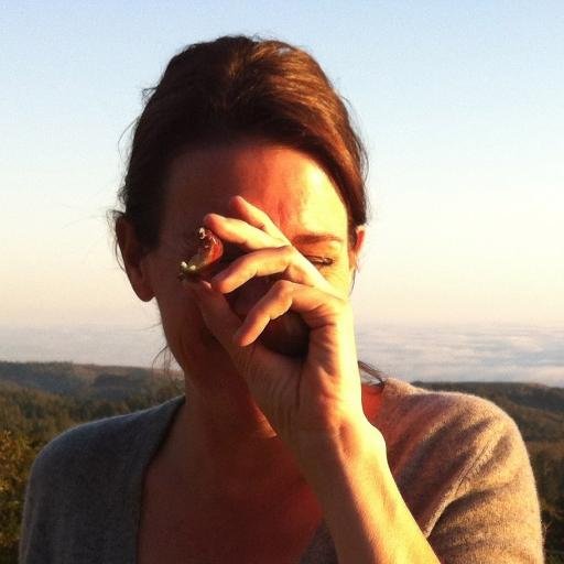 veteran fledgling writer in the bucolic idyll of